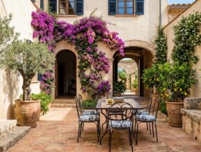 Mediterranean patio with terracotta tiles, bougainvillea, wrought iron furniture, olive trees, and citrus plants.