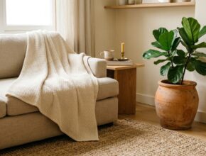 Organic cotton throw and rug on a sofa, with a terracotta planter holding a plant in natural light.
