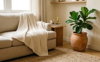 Organic cotton throw and rug on a sofa, with a terracotta planter holding a plant in natural light.