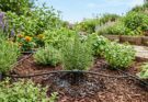 7 Tips for Designing a Beautiful Low-Maintenance Garden